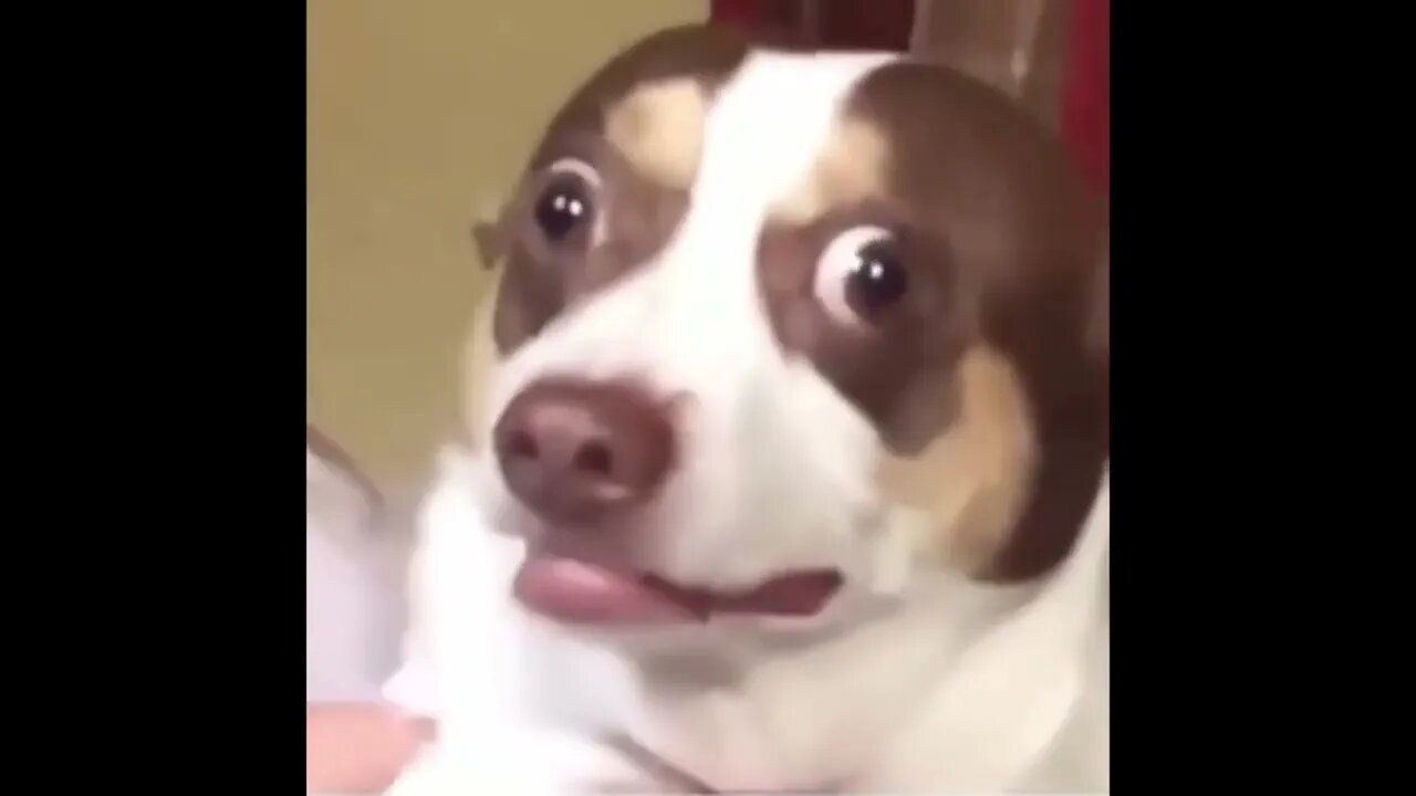 Mr. Bubz was not having it . . .