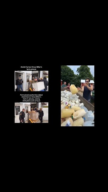 Video Shows Why the Amish Voted in the 2024 Elections