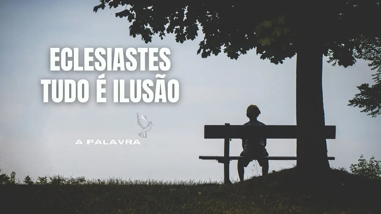 Bíblia Falada - ECLESIASTES Completo [Bíblia A Mensagem] #21