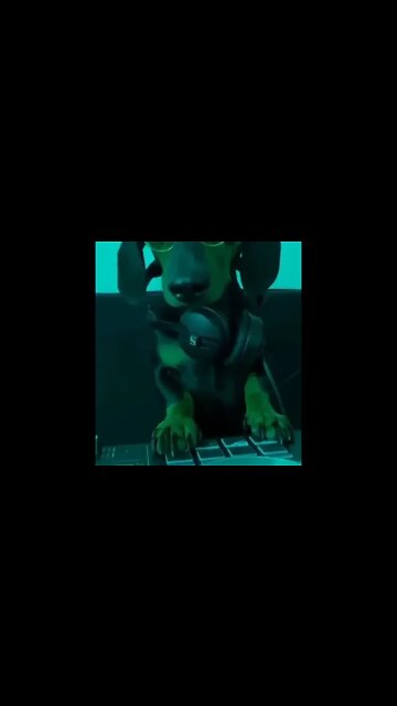 This happens only in South Africa 😳🤣💃🇿🇦