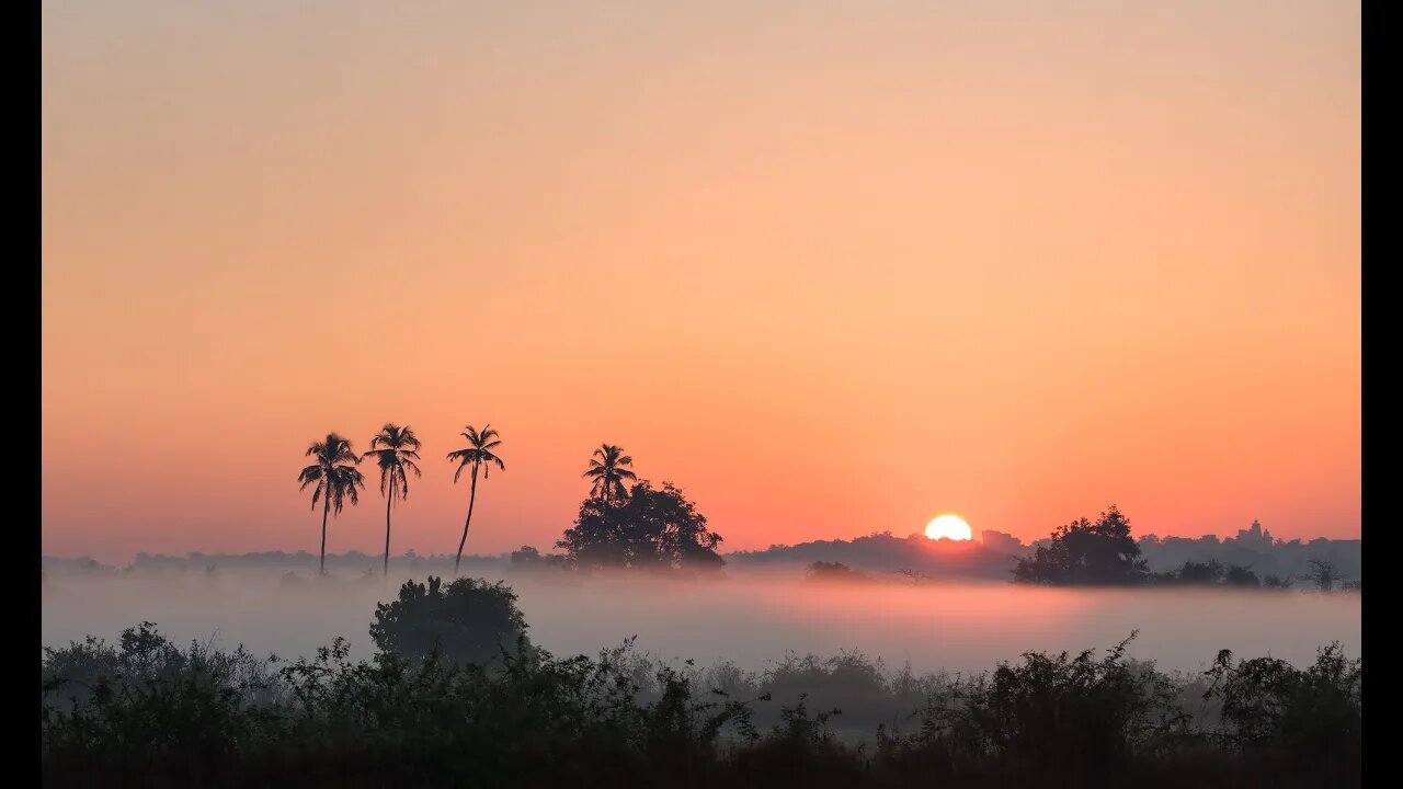 Light and Mist - Morning in Goa