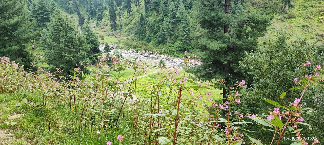 Beautiful Pakistan | Siran Valley | Northern areas of Pakistan