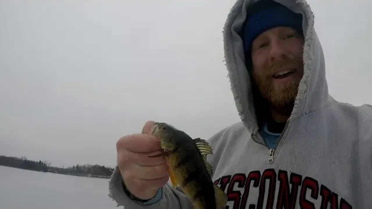 BLUE GILL FUN! | Wisconsin Ice Fishing