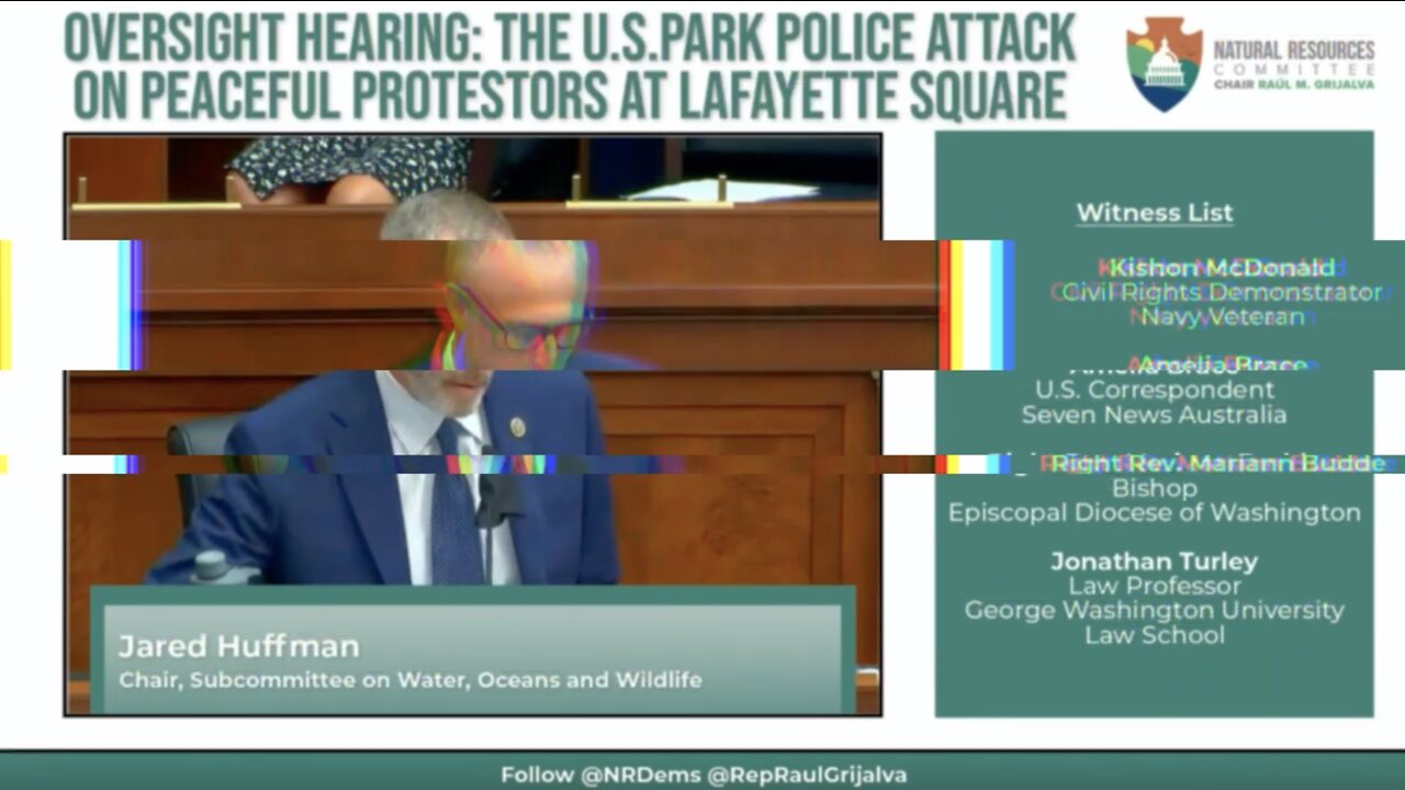 A Glitch In The Matrix: A Defense of Jan 6 Protestors by (D) Inquiry Into Police Violence at White House BLM Riots 5 Months Before Jan 6.