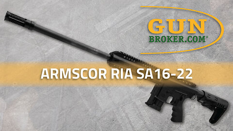 Armscor’s New RIA SA16-22 .22LR AR Style Rifle – New for 2024