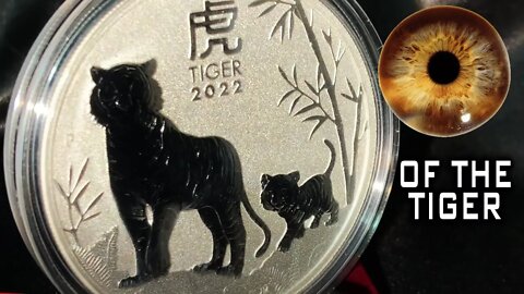 GOLD RISES But Still Bearish! SILVER Eye Of The Tiger!