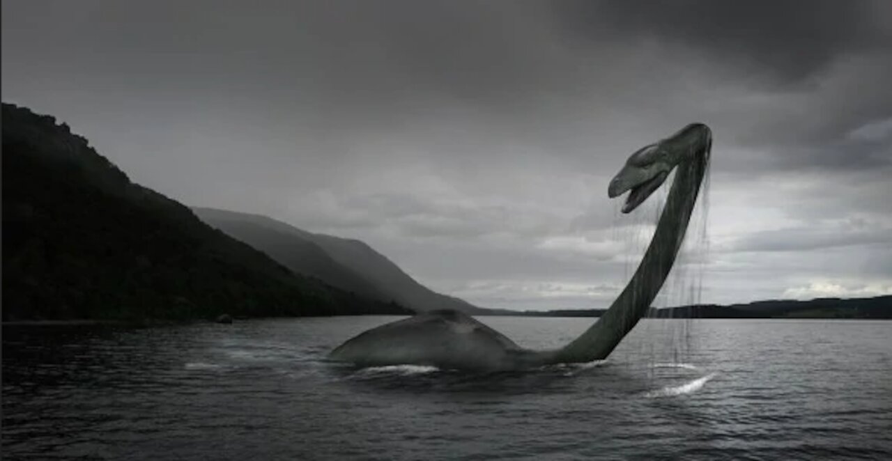 Odd Creatures and spirits