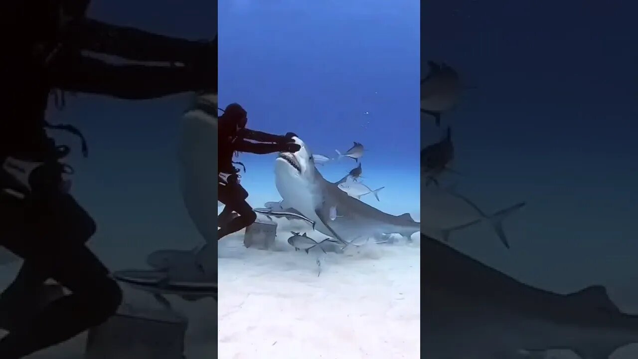esse cara é doido de fazer isso 😱😱😱
