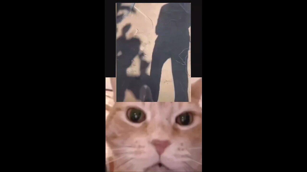 #amazing video 11