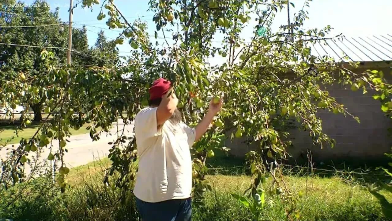 Don't let the pears spoil