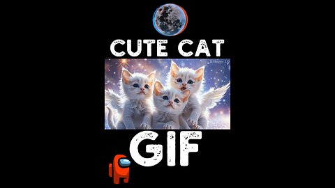 Cute Cat Gif