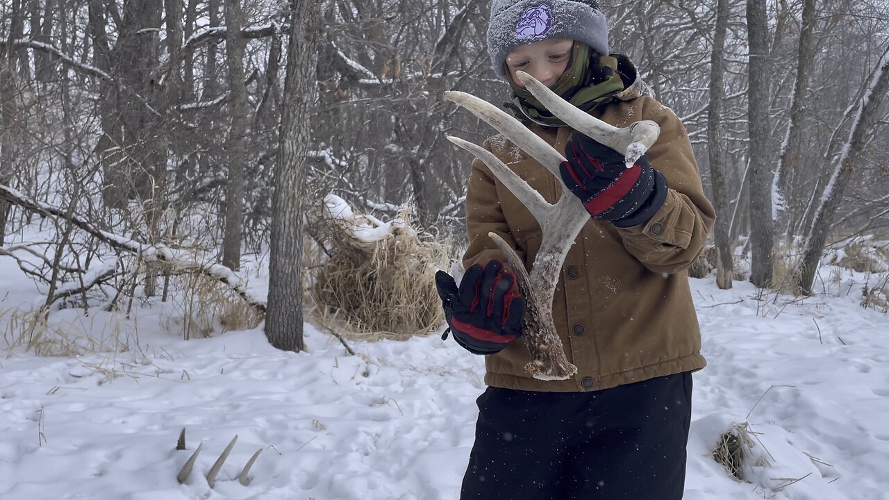 BOONER SET | Iowa Public land | Shed Hunting