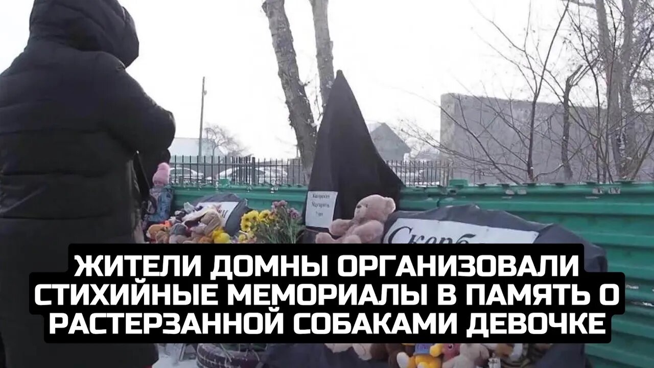 Жители Домны организовали стихийные мемориалы в память о растерзанной собаками девочке