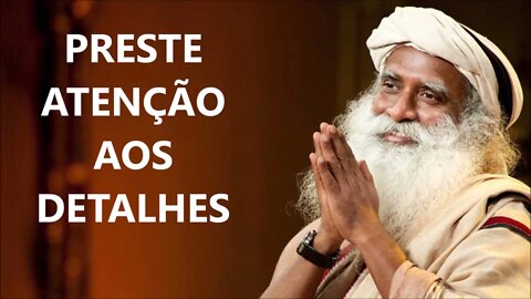 PRESTE ATENÇÃO AOS DETALHES, SADHGURU, DUBLADO