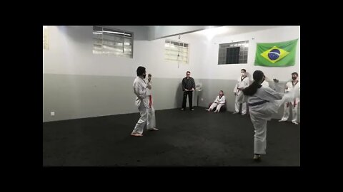 Taekwondo chutes livres exame de faixa.