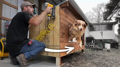 We built the Ultimate DOG HOUSE in 48 hours.