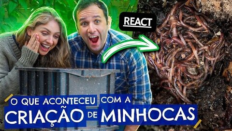 O que aconteceu com a CRIAÇÃO de MINHOCAS? REACT