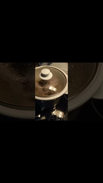 "Crockpot cat" Ukrainian/Shanghi style recipe 😋