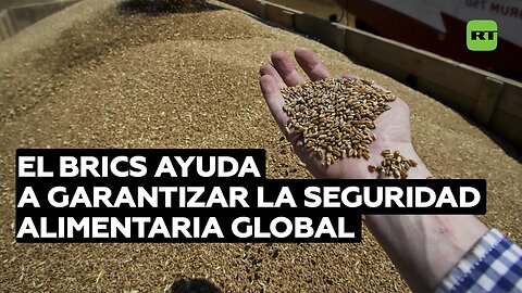 El BRICS ayuda a garantizar la seguridad alimentaria global