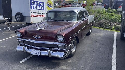 1956 Chevy …in the wild