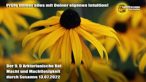 Macht und Machtlosigkeit – Der 9.D Arkturianische Rat