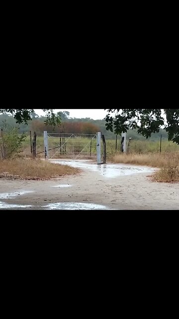 Chuva chegando no Sertão