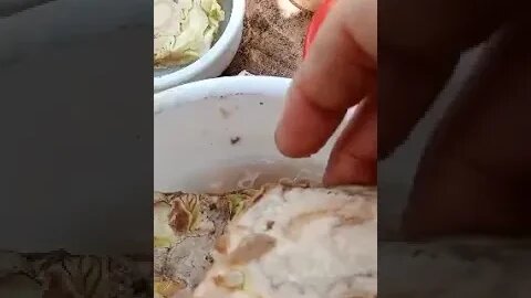 Update and cabbage too