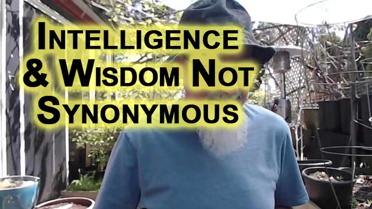 Intelligence and Wisdom Are Not Synonymous: Those That Submit to Authority Are Serfs