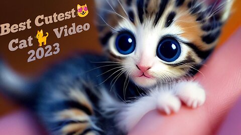 Best Cutest😻 Cat🐈 Video 2023