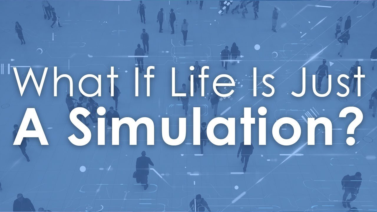 If Life Was A Simulation, How Would You Want To Live?