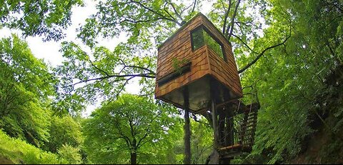 Building a tree house