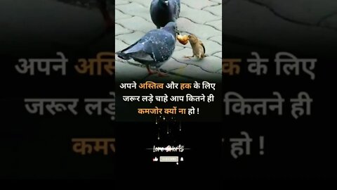 motivational Quotes Intresting Facts #shorts #ytshorts #motivation