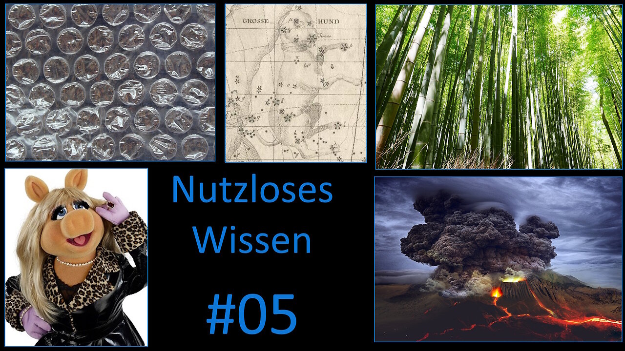 Nutzloses Wissen für Zwischendurch #5 - Querbeet