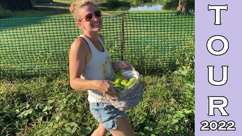 Garden Tour 🌻 August 2022 || Come Harvest Vegetables with Me!