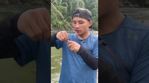 Fishing mahseer out in the wild