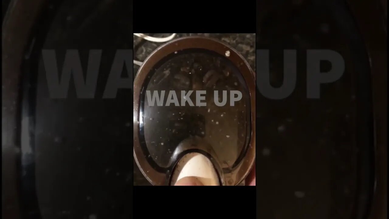 Wake up and smell the #coffee | #shorts