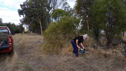 Out with the chainsaw - the falling trees are catching up!