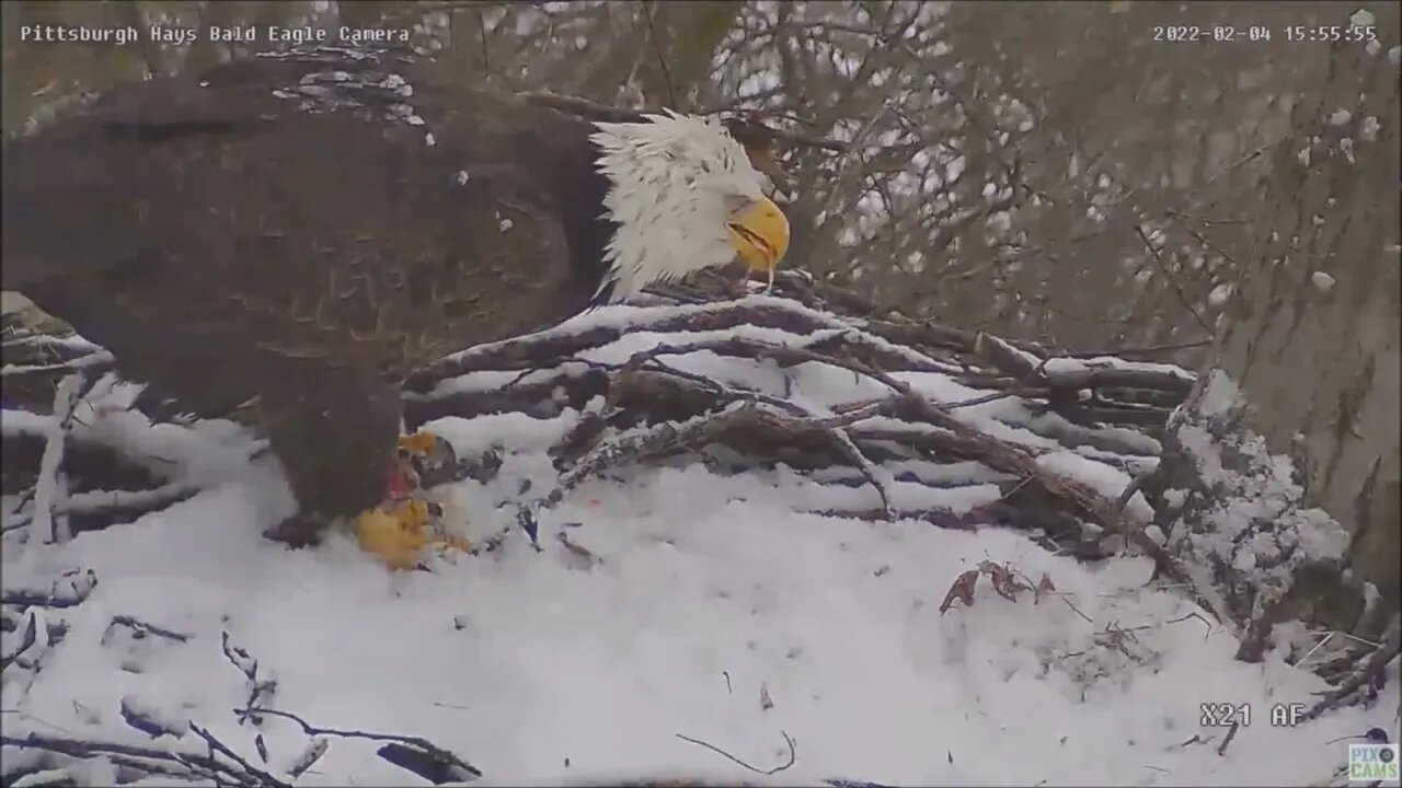 Hays Eagles Dad delivers 2 fish gifts to Mom within a half hour 2422 15:54 and 16:20