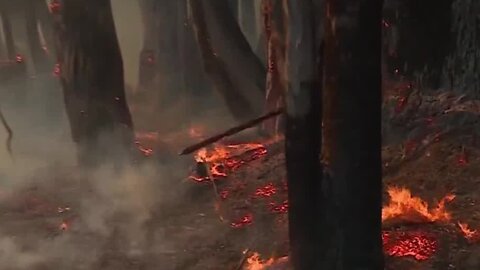 Wildfire near Aromas forces evacuations