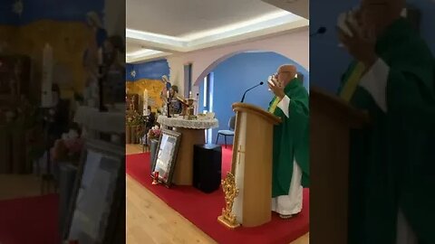 "The Mercy of Jesus' Presence" - Fr. Imbarrato's Homily - Sun, July 9th, 2023