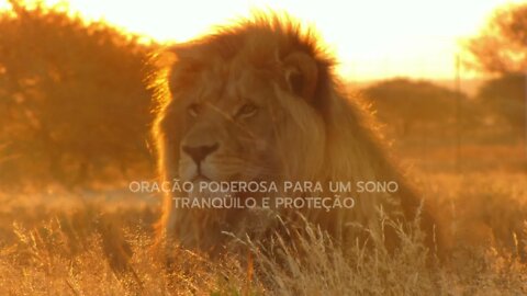 🙏 Salmo 91 e Salmo 23 - Oração poderosa para um sono tranquilo e proteção (Repetição 7 vezes)