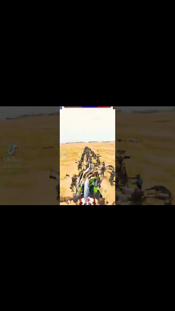 Mount & Warcraft Bannerlord Mods 11