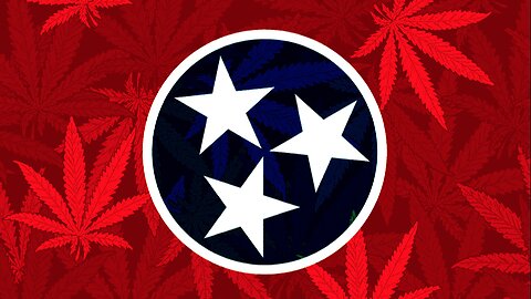 Should Marijuana Be Legal in Tennessee? A War Veteran's Perspective