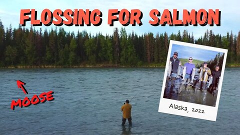 Flossing Sockeye Salmon in Alaska (Sounds CRAZY but it WORKS!)