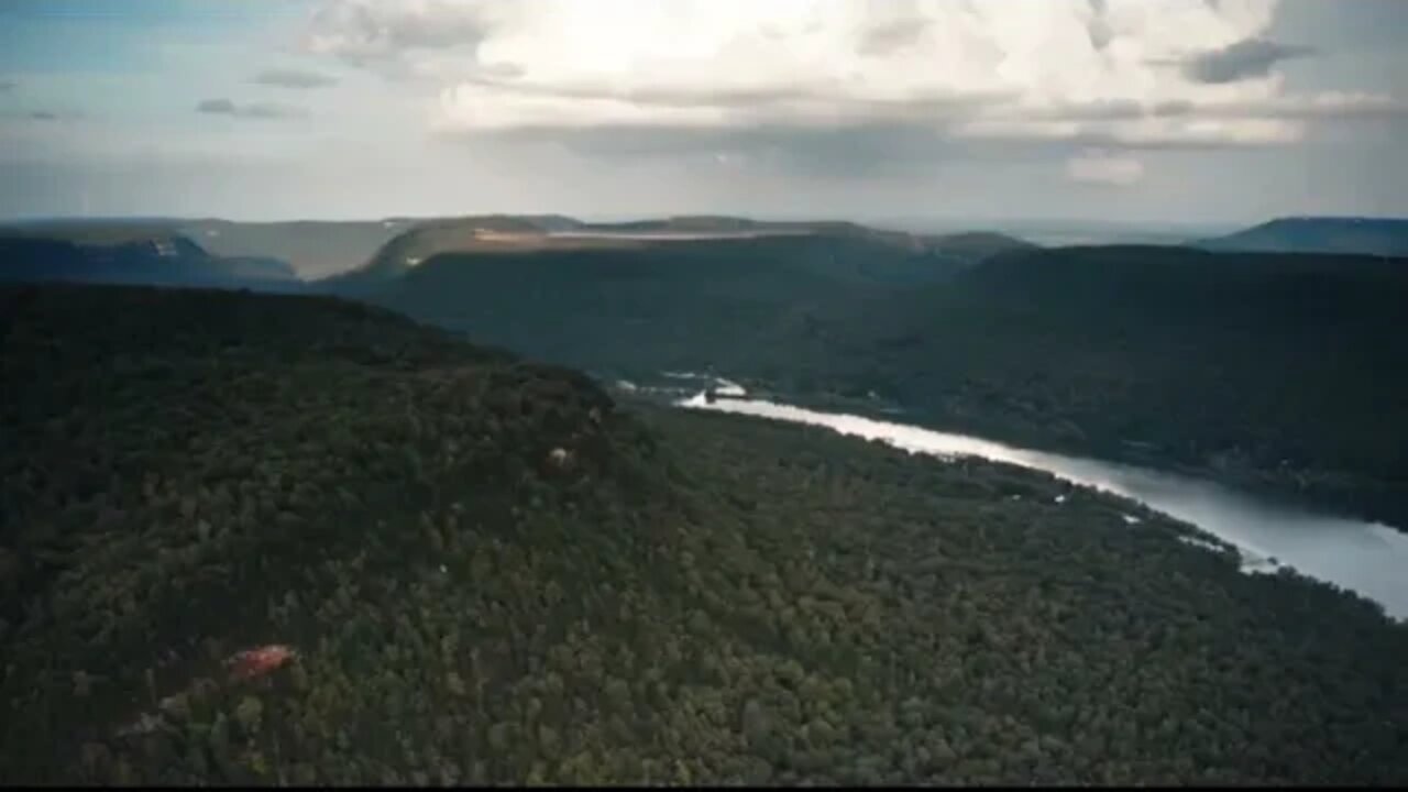 Calm in the forest suggested meditation and relax,Flying relief