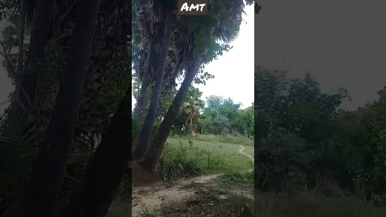 Savan Aaya WhatsApp status amt Safar status