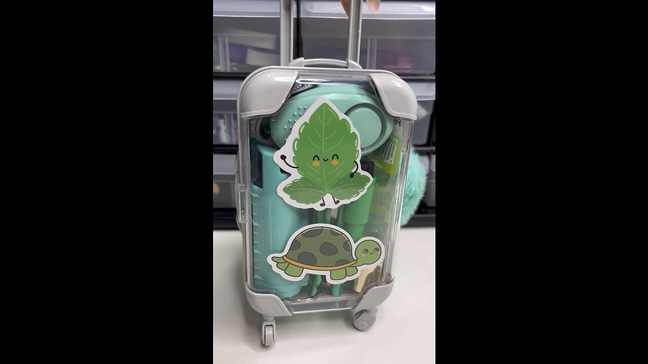 Green Queen safety suitcase