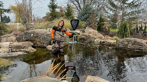 Pond Maintenance + Prepping a Tropical Waterlily for Winter Storage! 💦🪷🙌
