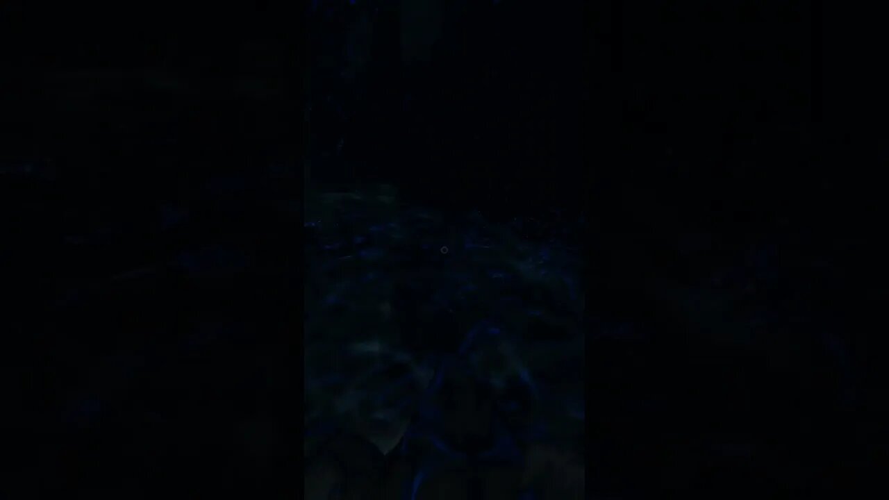 I die in phasmo lol