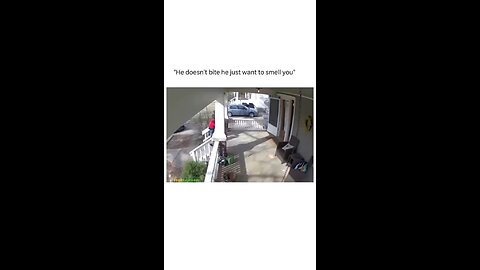 Bro don’t be afraid💀‼️